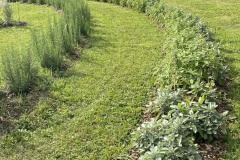 IMG_5417 IMG_5417