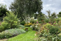 IMG_4999 IMG_4999