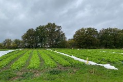IMG_5693 IMG_5693