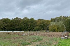 IMG_5694 IMG_5694