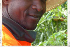 amadou amadou