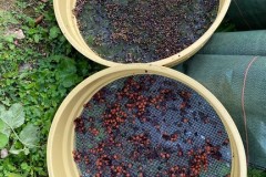 IMG_5263 IMG_5263