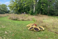 IMG_5268 IMG_5268